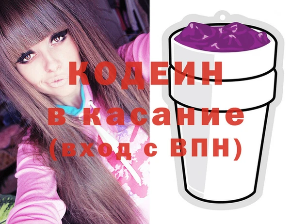 шишки Богородицк