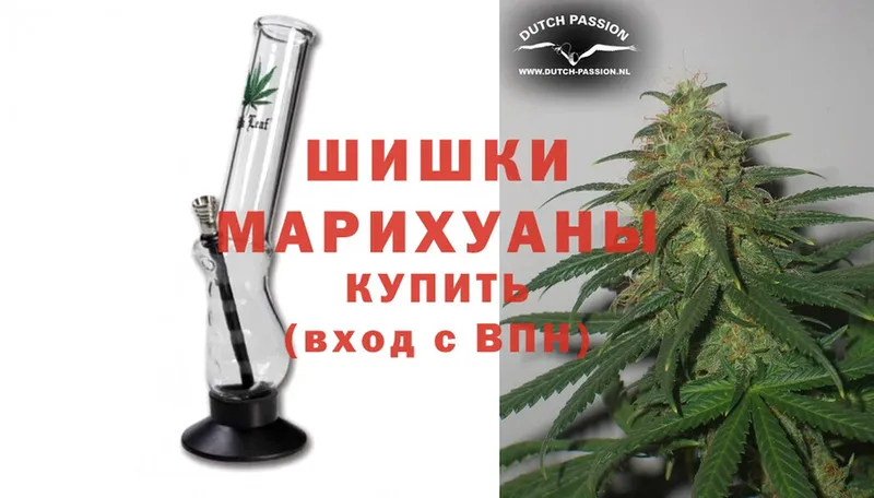 Бошки марихуана White Widow  хочу наркоту  Остров 